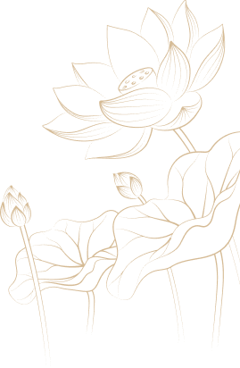 Decorative lotus flowers